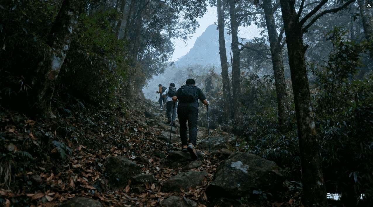 黑洞加速器技术的优势分析与未来发展面临的主要瓶颈探索
